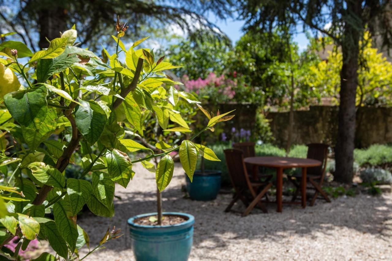 Le Jardin De Mazan Bed & Breakfast Eksteriør bilde